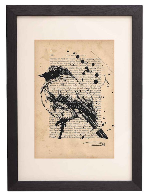 Indigo Flycatcher, Bird, Indigenous to South East Asia, Acrylic Screen Print on Paper, Thomas Powell Arist